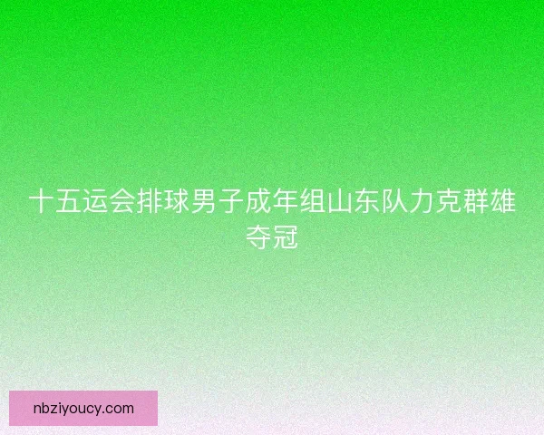 十五运会排球男子成年组山东队力克群雄夺冠