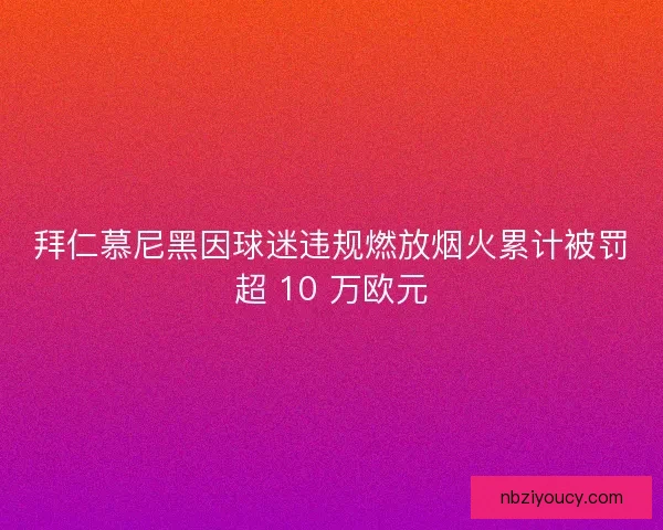 拜仁慕尼黑因球迷违规燃放烟火累计被罚超 10 万欧元